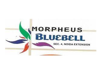 Morpheus Bluebell